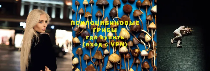 Галлюциногенные грибы Cubensis  Петров Вал 